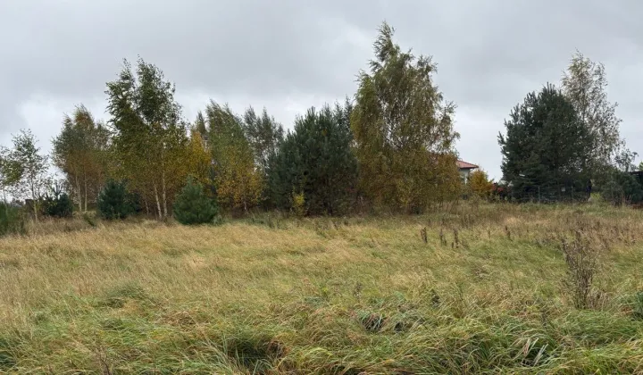 Działka budowlana Tokary, ul. Pogodna