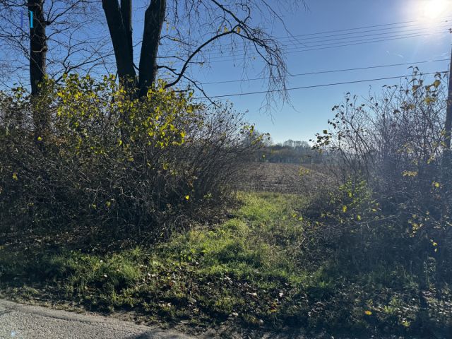 Działka siedliskowa Kolonia Łaznów. Zdjęcie 13