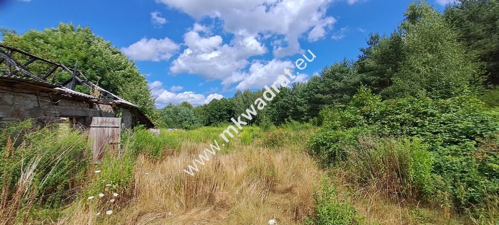 Działka siedliskowa Zimna Woda. Zdjęcie 2