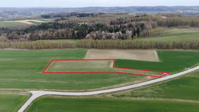 Działka budowlana Glinik Jamszcze. Zdjęcie 4