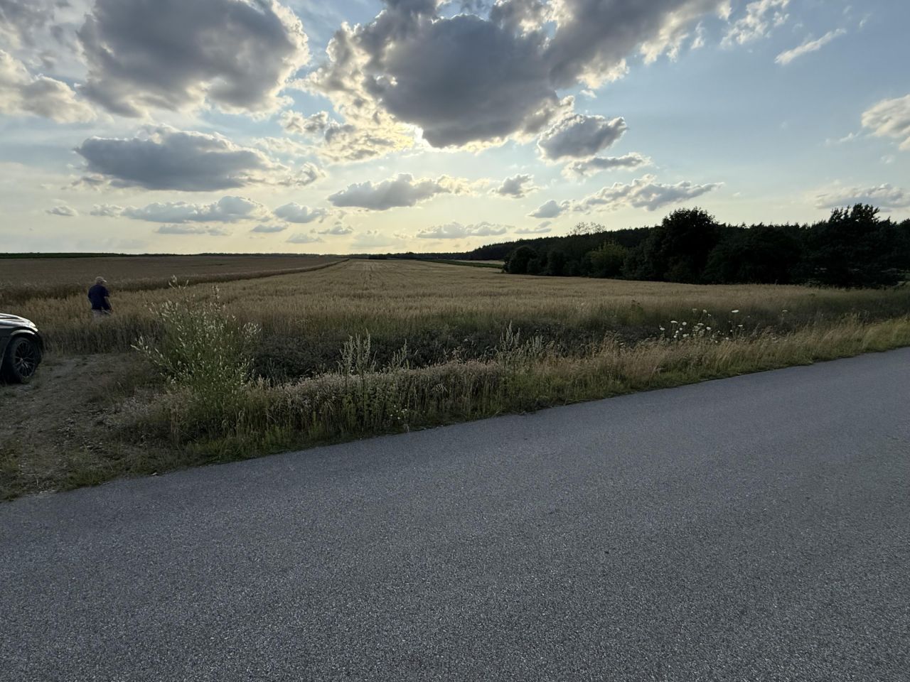 Działka inwestycyjna Sierzputy Młode. Zdjęcie 10