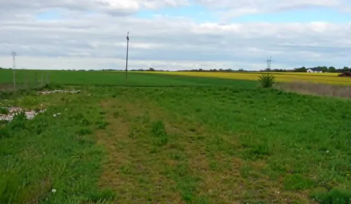 Działka budowlana Przemocze, ul. Magnolii