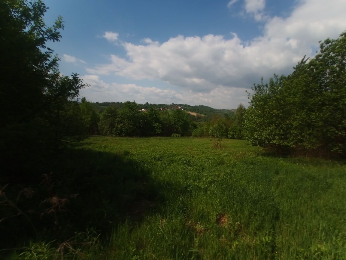 Działka rolna Jankówka. Zdjęcie 6