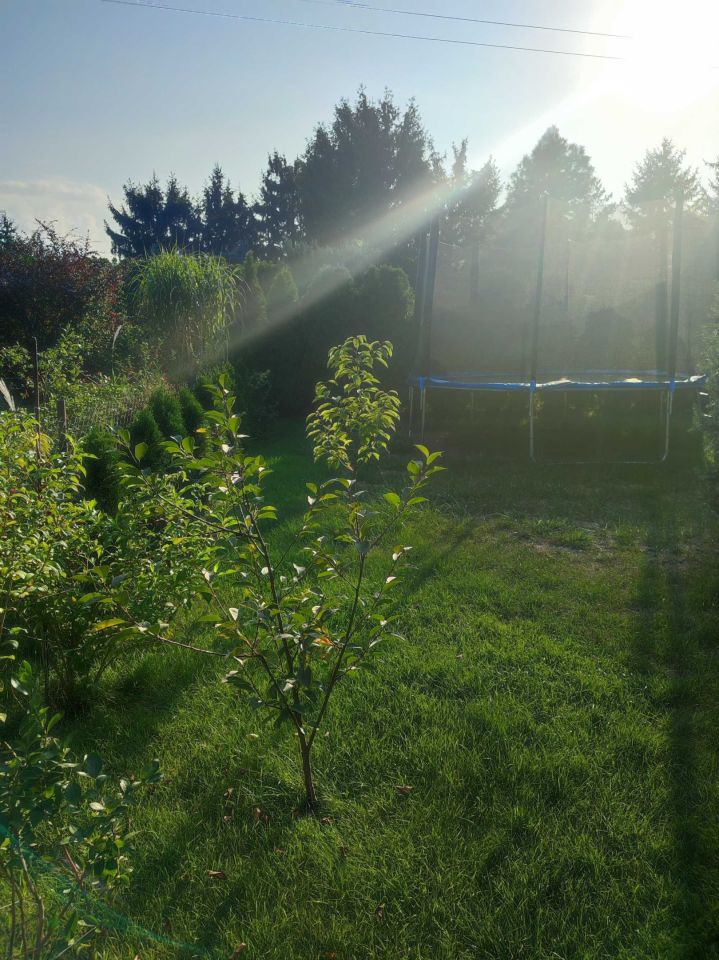 Działka rod Grodzisk Mazowiecki, ul. Akacjowa. Zdjęcie 5