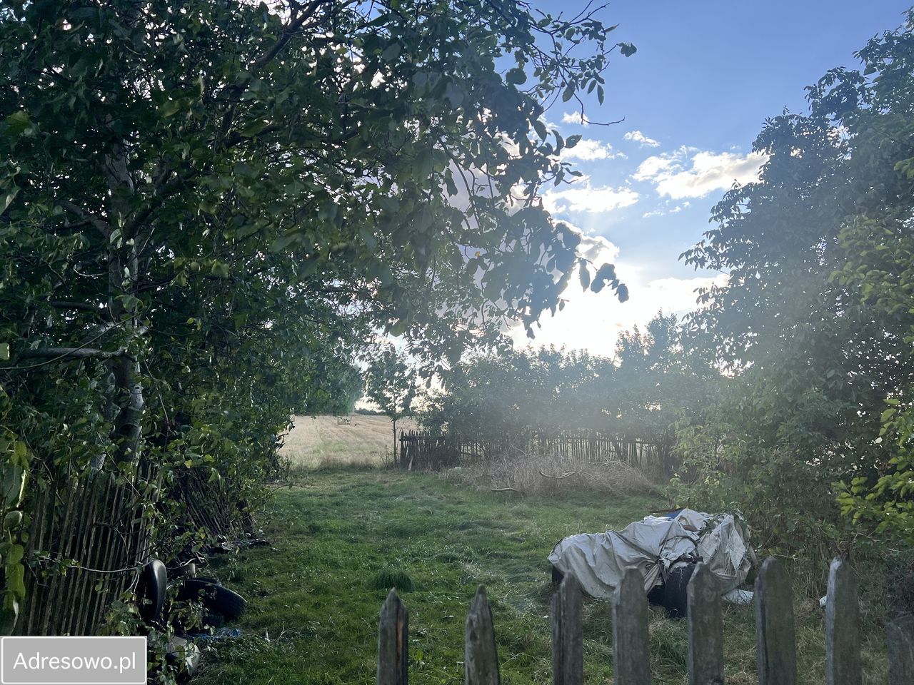 Działka Goła. Zdjęcie 8