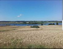 Działka budowlana Bartniki