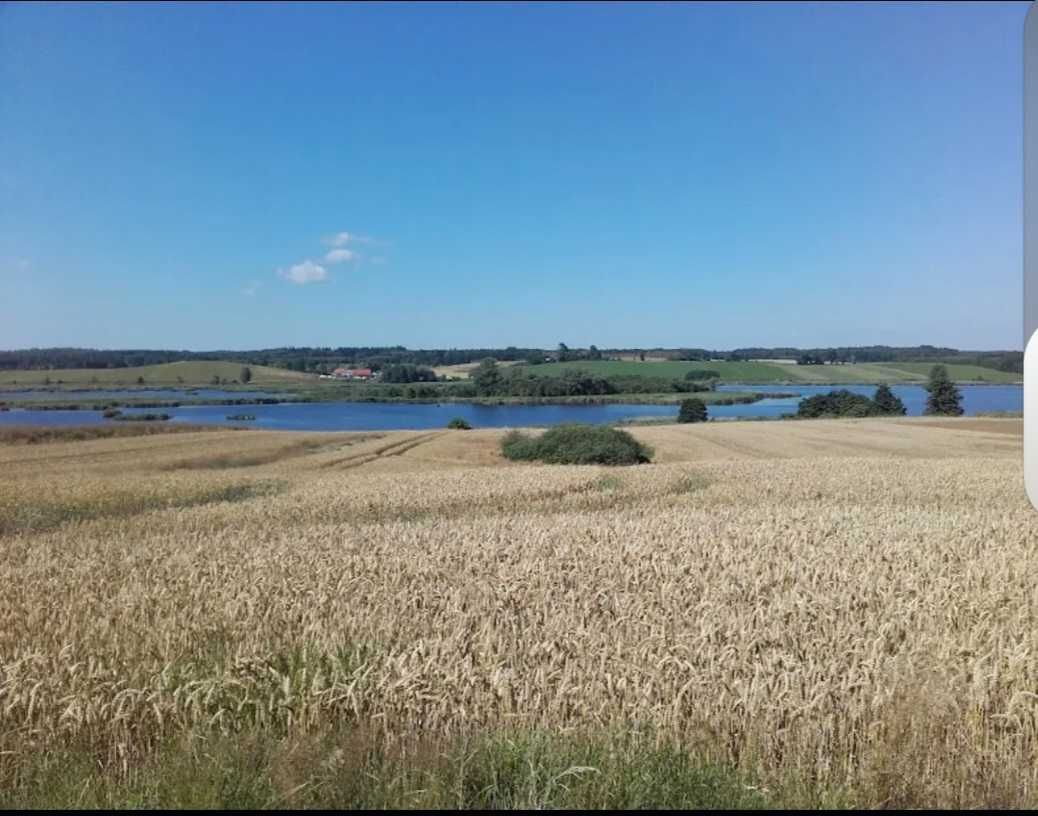 Działka budowlana Bartniki