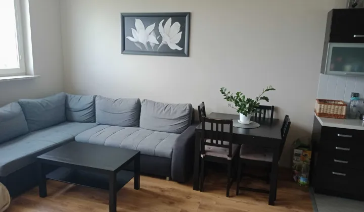 Mieszkanie 2-pokojowe Piaseczno Centrum, ul. Młynarska