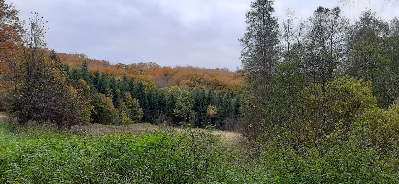 Działka rolno-budowlana Warkałki. Zdjęcie 15
