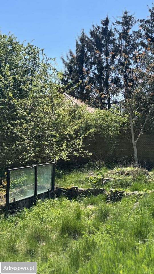 Działka budowlana Bogołomia, ul. Nasturcjowa. Zdjęcie 5