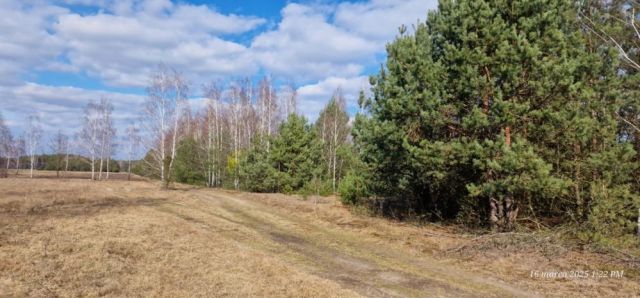 Działka rekreacyjna Brzóze Duże. Zdjęcie 1