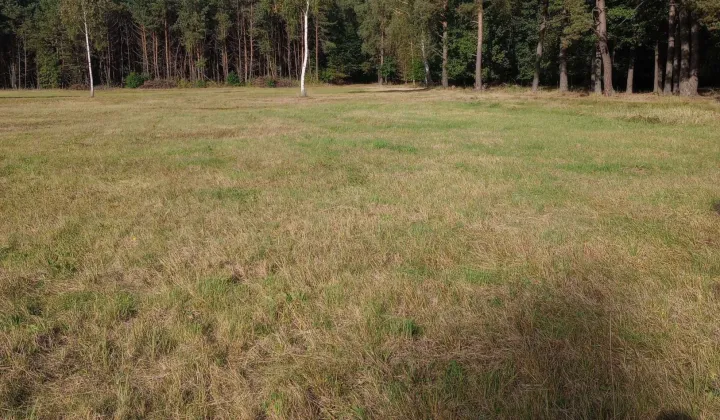 Działka rekreacyjna Radawa