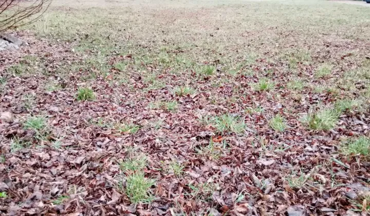 Działka inwestycyjna Kolno, ul. Marii Konopnickiej