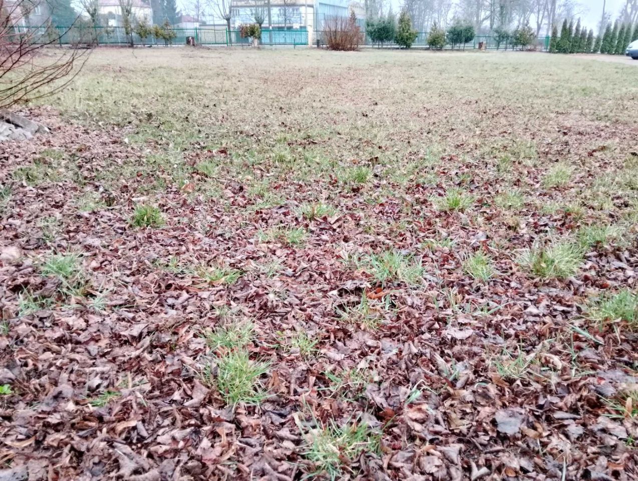 Działka inwestycyjna Kolno, ul. Marii Konopnickiej