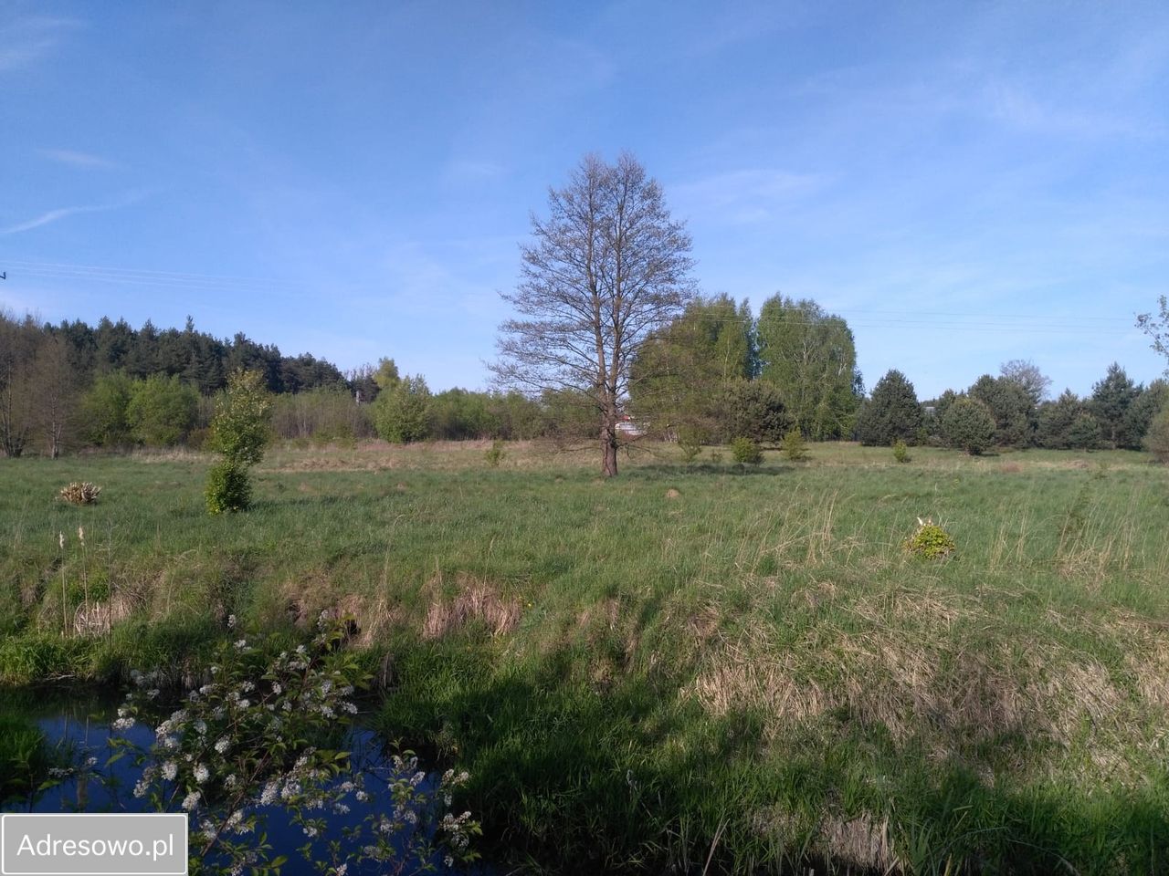 Działka rolna Kielce. Zdjęcie 9