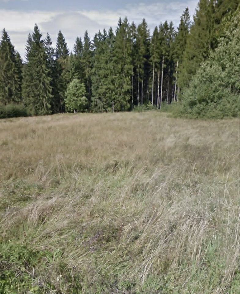 Działka budowlana Koniaków. Zdjęcie 3