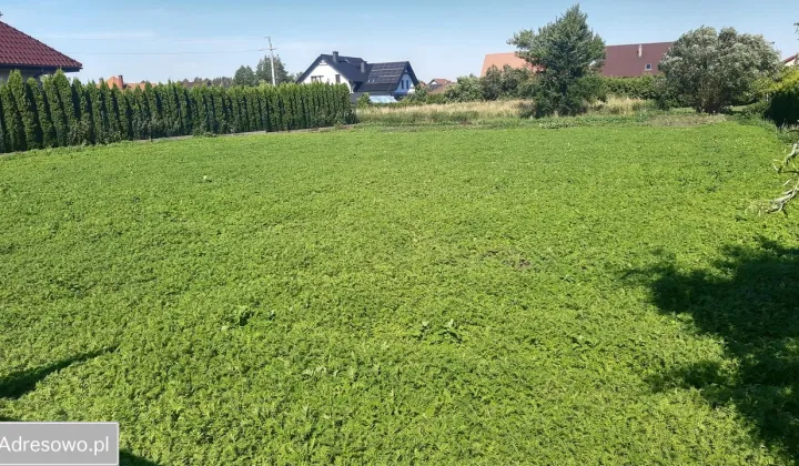 Działka budowlana Głogowo, ul. Krucza