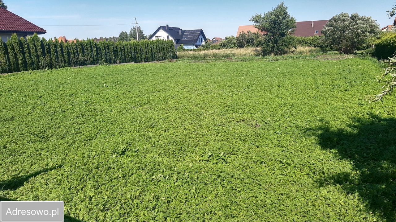 Działka budowlana Głogowo, ul. Krucza. Zdjęcie 1