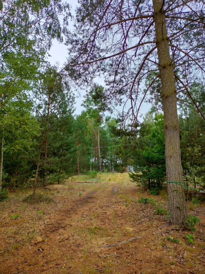Działka budowlana Janów. Zdjęcie 4