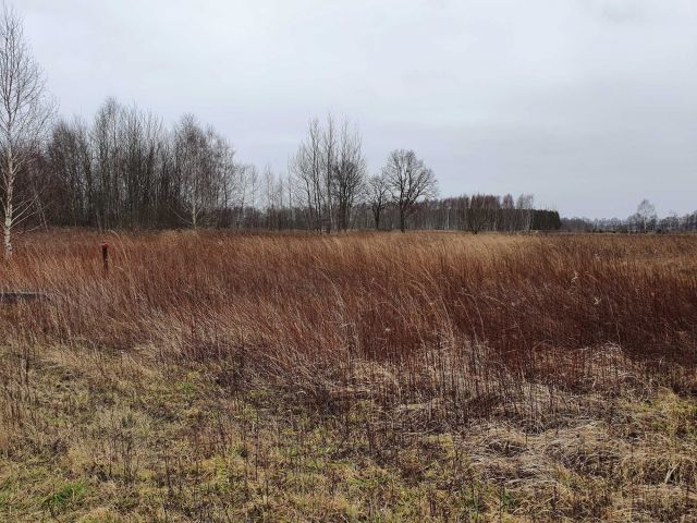 Działka budowlana Komorowo. Zdjęcie 1