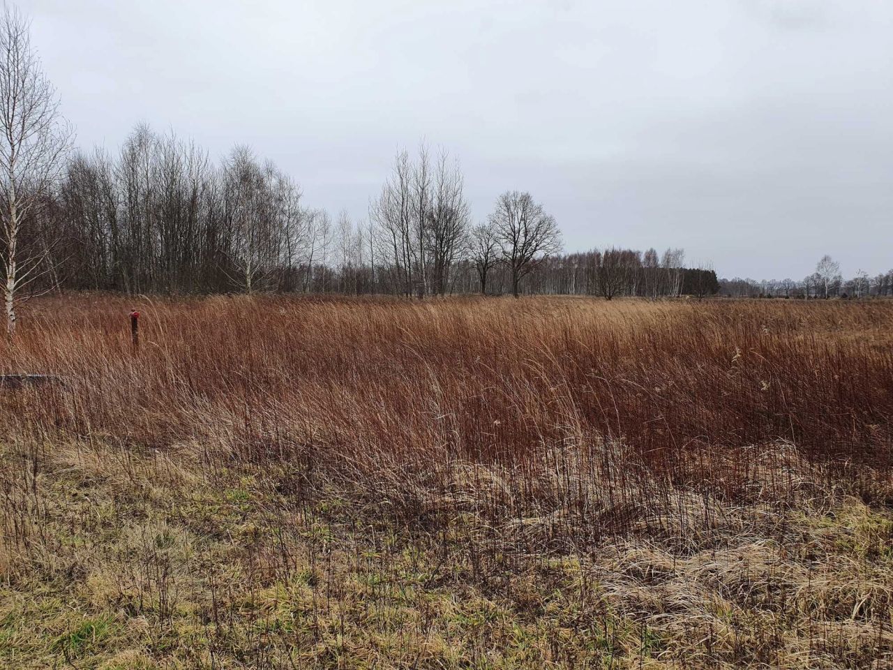 Działka budowlana Komorowo