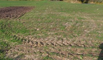 Działka rolna Mikołajew