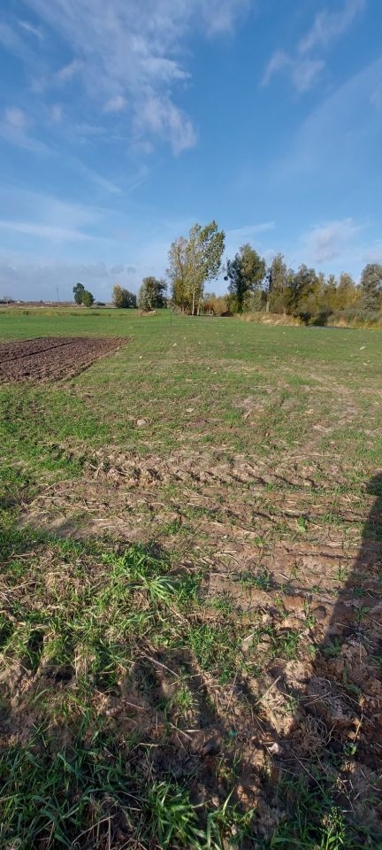 Działka rolna Mikołajew. Zdjęcie 2