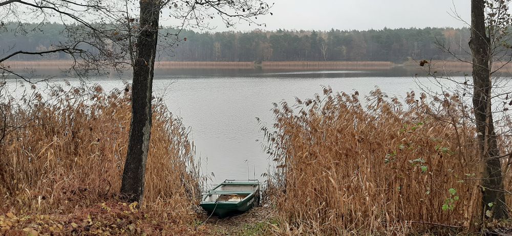 Działka rolno-budowlana Huta Nowa. Zdjęcie 5