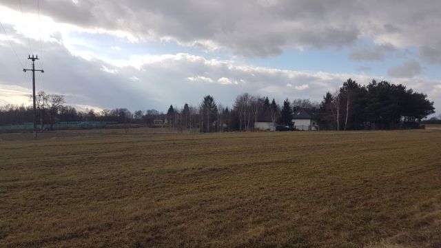 Działka rolno-budowlana Stary Gaj. Zdjęcie 1