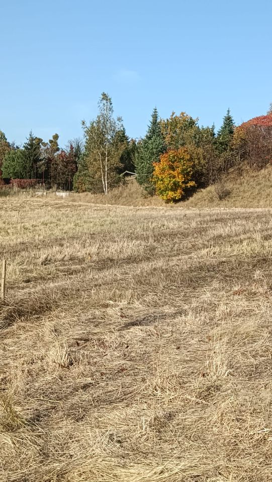 Działka budowlana Strączno. Zdjęcie 6