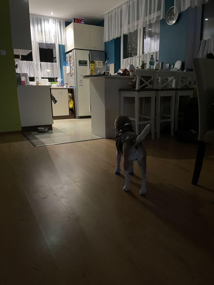 dom wolnostojący, 5 pokoi Mosty. Zdjęcie 17