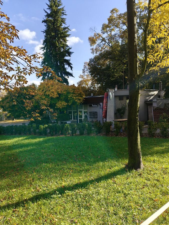 Działka rod Wałbrzych Piaskowa Góra, ul. Wrocławska. Zdjęcie 21