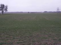 Działka rolno-budowlana Wola Pieczyska. Zdjęcie 3