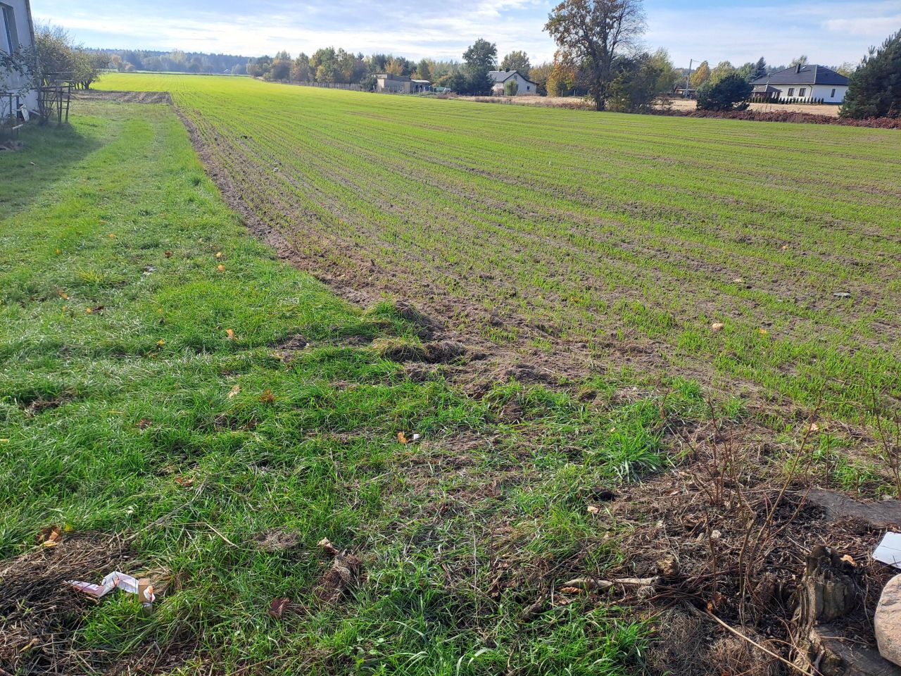 Działka budowlana Nowa Wola