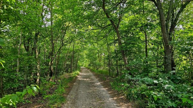 Działka inna Ublik. Zdjęcie 19