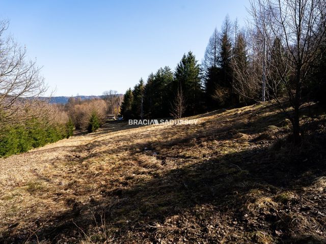 Działka budowlana Stróża. Zdjęcie 16