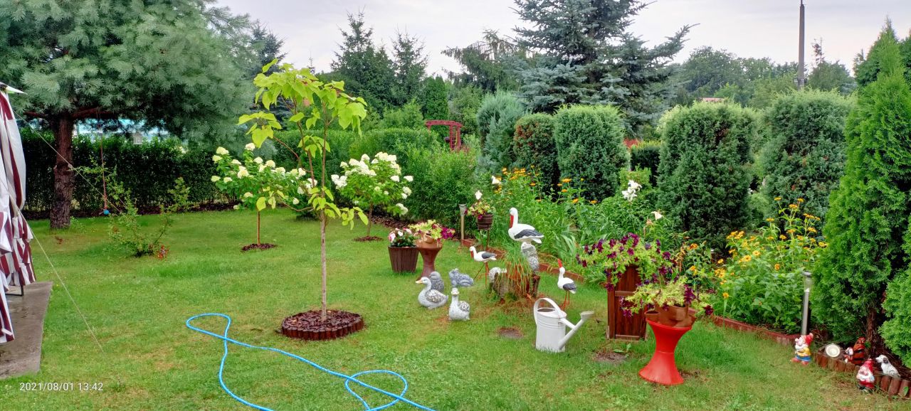 Działka rod Łódź Górna, ul. Lodowa. Zdjęcie 21