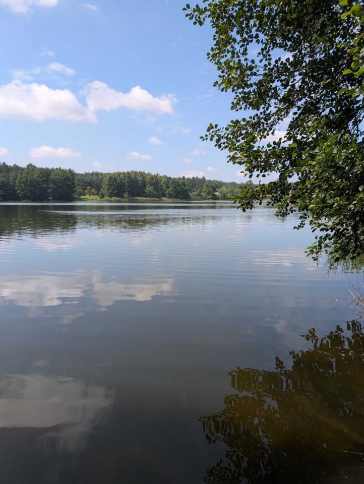 Działka budowlana Radziochy. Zdjęcie 8