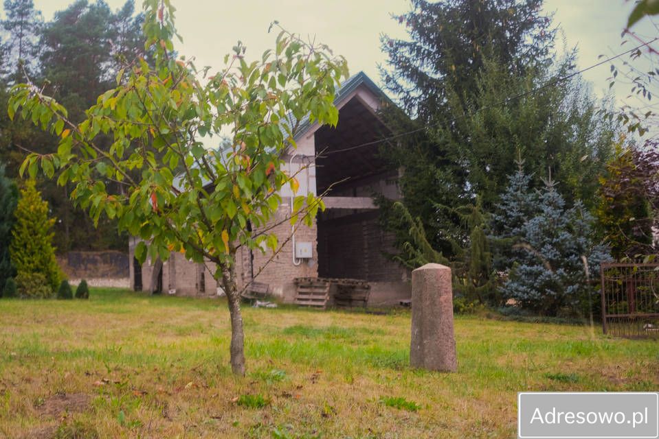 Działka siedliskowa Wyłudzin. Zdjęcie 3