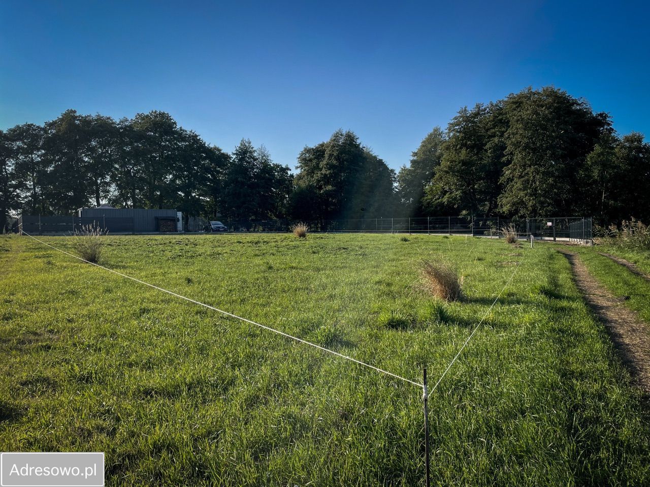 Działka rekreacyjna Trzcińsko-Zdrój. Zdjęcie 13