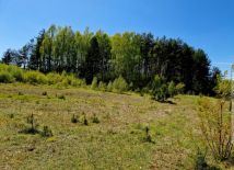 Działka rolno-budowlana Brąswałd. Zdjęcie 2