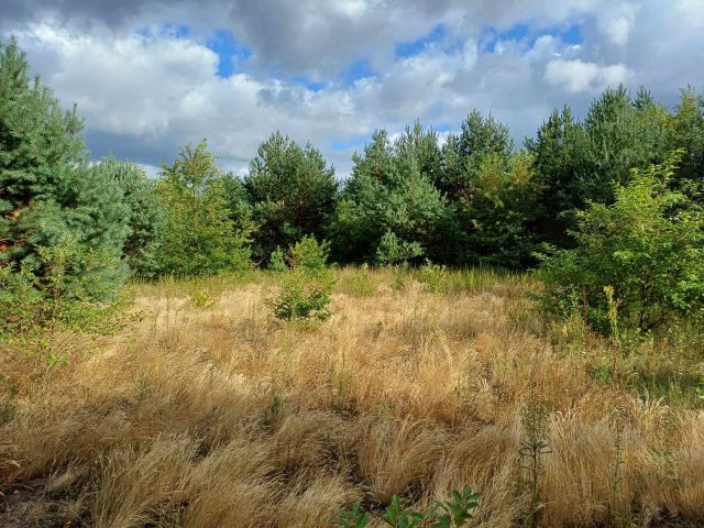 Działka rolna Skronina. Zdjęcie 1