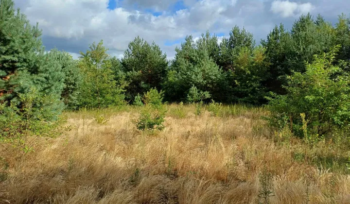 Działka rolna Skronina