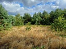 Działka rolna Skronina