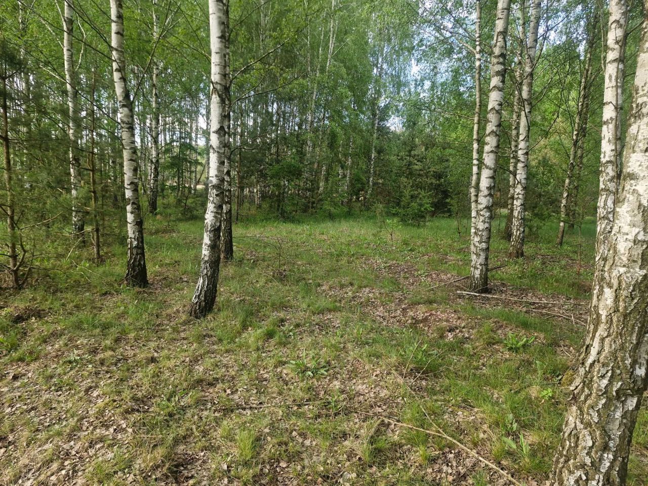 Działka rolna Pogorzałki. Zdjęcie 8