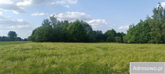 Działka budowlana Gace Słupieckie. Zdjęcie 1