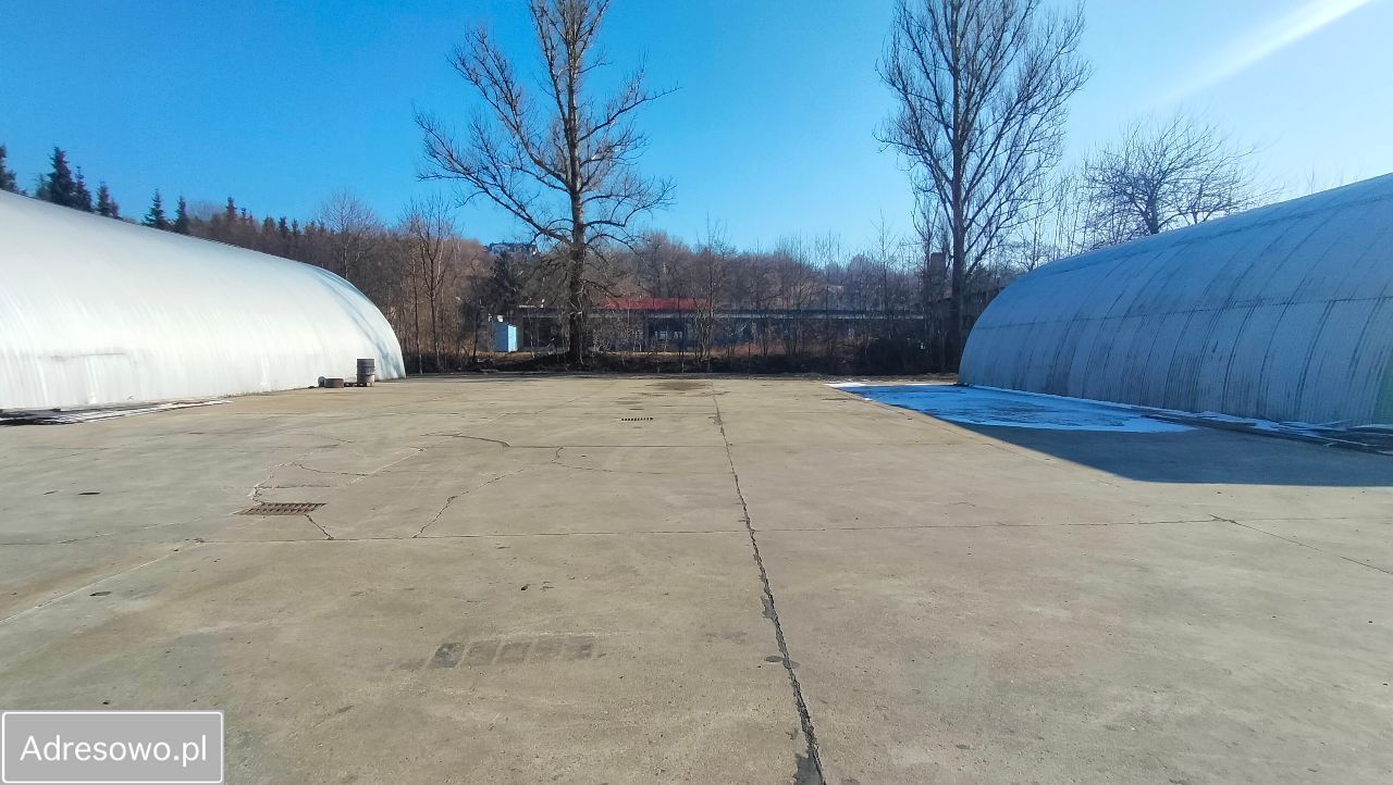 Hala/magazyn Żywiec, ul. Świętokrzyska. Zdjęcie 13