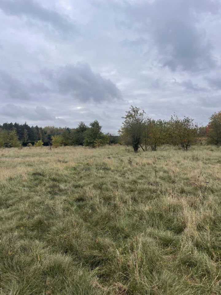 Działka budowlana Kolankowo, ul. Urocza. Zdjęcie 5