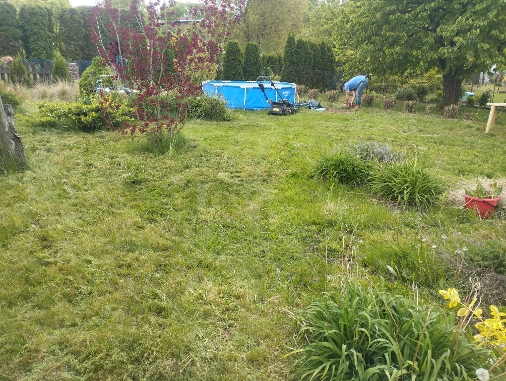 Działka rod Gniezno, ul. Powstańców Wlkp.. Zdjęcie 8