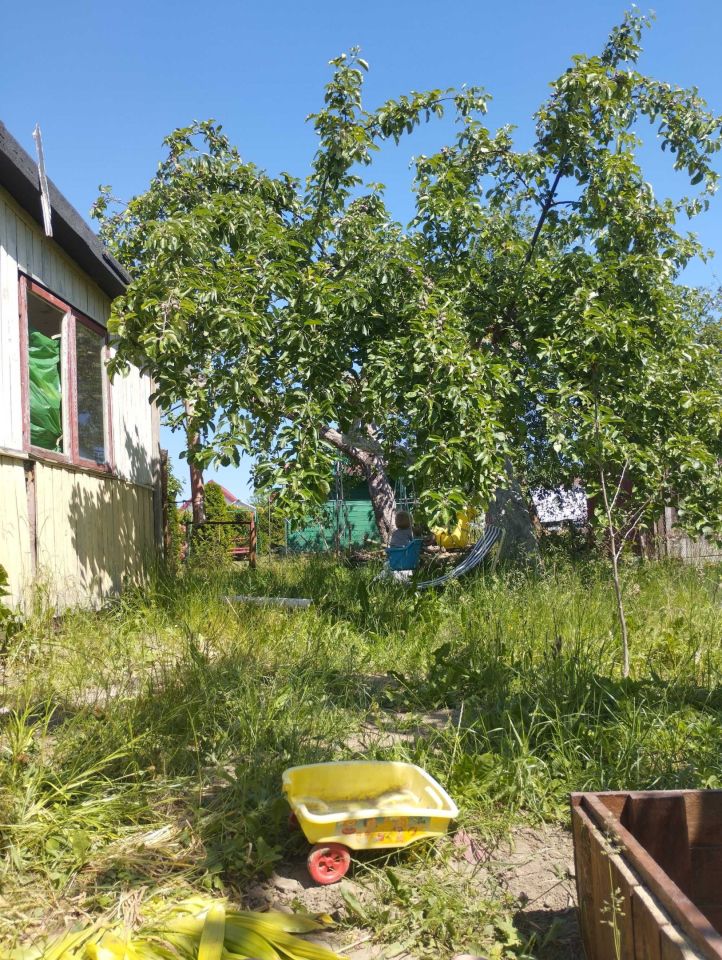 Działka rod Koszalin. Zdjęcie 5